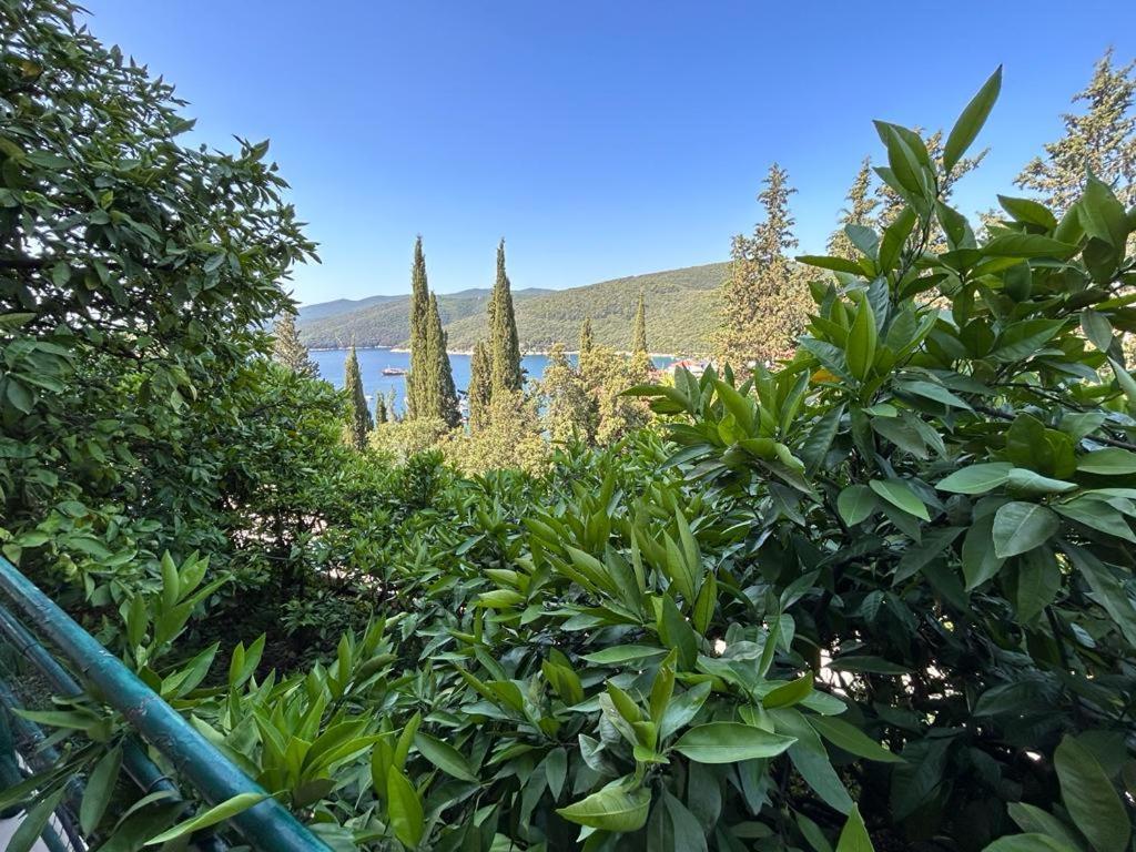 Apartment Near The Sea 650 Rabac Luaran gambar